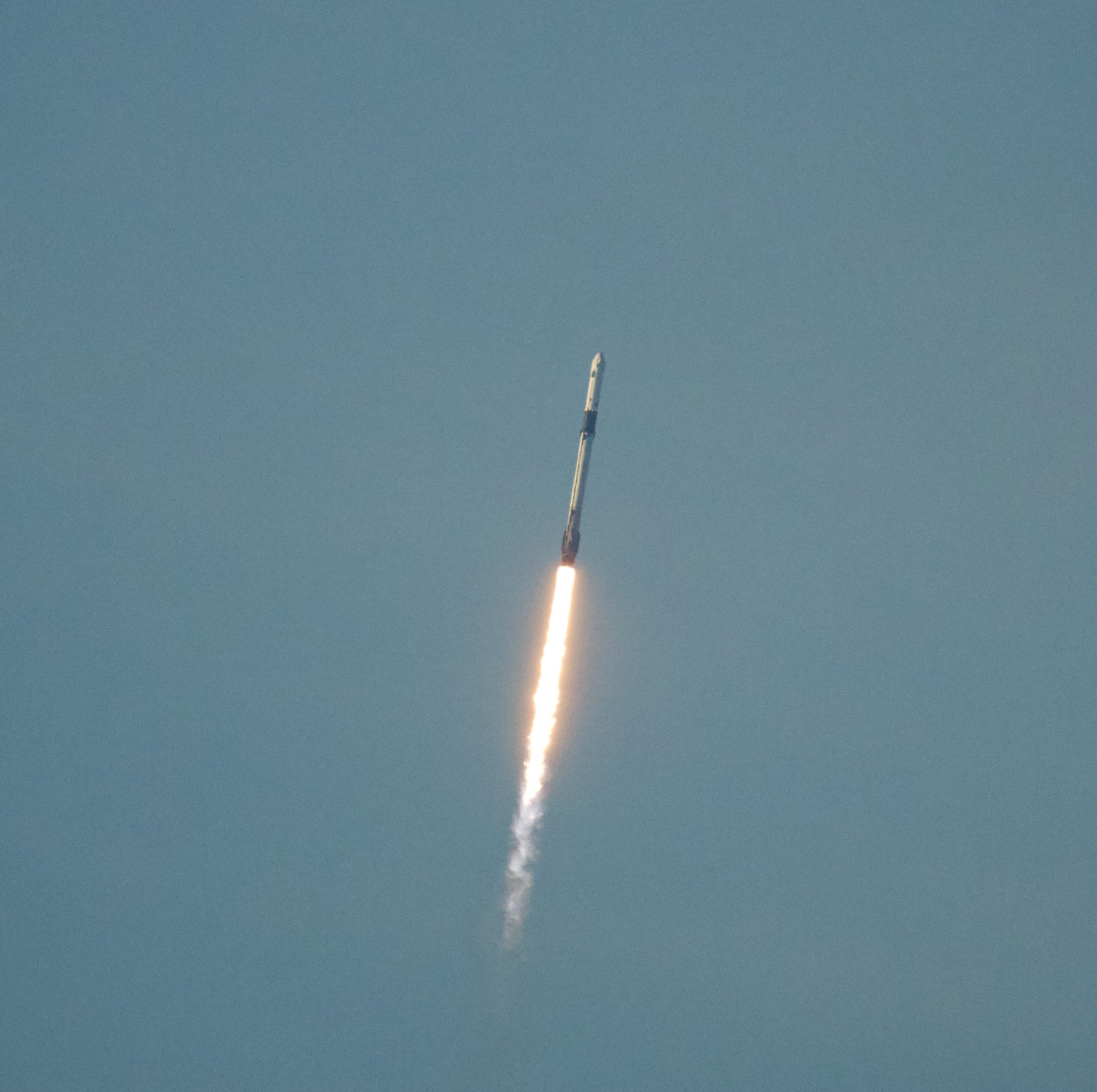 SpaceX Crew-10